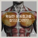 1% 퍼스널 트레이닝 | 지족동PT, 확실한 운동효과를 찾으신다면 클릭!