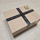 인지솔카페 | '대란은 못참지’, 미하라 야스히로 피터슨23 캔버스 로우 클리어 그린 후기(사이즈 리뷰)