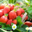 예지유치원 이미지