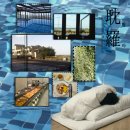 에코리조트 | [내돈내산] 제주도 2박 3일 그린에코리조트 솔직후기