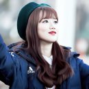 태형수지 이미지