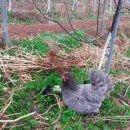 일꾼농장 이미지