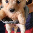 현산면사무소 이미지