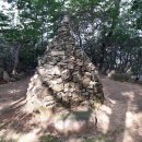 삼성공원 이미지