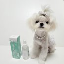 바론덴탈 | [펫츠다이닝]닥터리 치카겔 &amp; 바론샘 살균탈취제