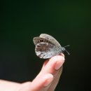 신평2동-7 이미지