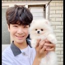 행복한 강아지 이미지