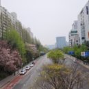 서현AK프라자(서현 보도육교) 이미지