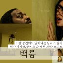 백룸 | 공포의 노란 공간 심리 스릴러 원작 세계관 정리 쿠키 정보 결말 해석 관람 포인트 (2026)