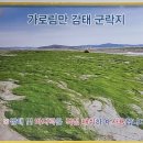 선창감태칼국수 이미지