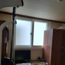 국제백양 이미지