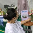 보성체육관 이미지