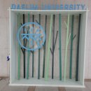 우드볼 지도자과정 이미지