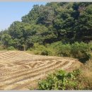 상점마을경로당 이미지