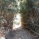 마비정길 이미지