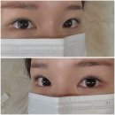 하엘리 | 상무지구 속눈썹 유지력 맛집 하엘리 후기