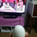 윤씨네농장 이미지