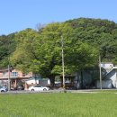 진전면917 이미지