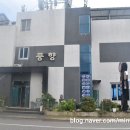 참맛흑돼지 | 🌴서귀포 바다전망 맛집🌊 진짜 흑돼지의 참맛! ‘풍향가든’ 후기🐷