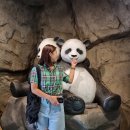 에버민박 이미지