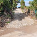 지우부동산공인중개사사무소 이미지