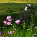 화암세천 이미지