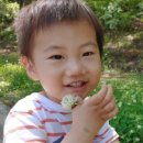 경상남도수목원 유아숲체험원 이미지