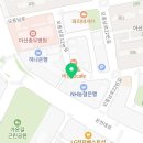 비엔날레치과의원 Daum카페