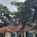 정원이네식당 이미지