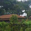 성읍 | 제주 성읍민속마을 방문 후기, 입장료는 무료