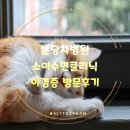 다원한의원 | [분당차병원 소아수면클리닉] 10개월 대기 끝에 다녀온 야경증 방문후기