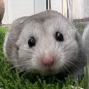 세명 동물병원 이미지