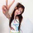 마젠타