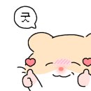 이도큐먼트스튜디오
