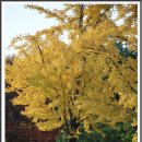 머믄자리 이미지