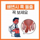 조치항외과의원 | 성남항문외과 배변시 혹이 돌출된다면 보세요