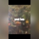 스위트번스전북고창점 이미지