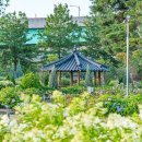 한강시민공원(자연학습장) 이미지