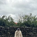 시전농장 이미지