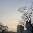 디로드 | [보라매공원 템포런] 86.8kg 아빠의 서브4 훈련 1일차, 와퍼 먹고도 3월 최저 체중 방어한 날