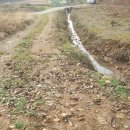 꿈에정원 이미지