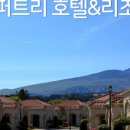 라리토 이미지