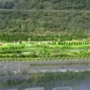 체육공원 가족휴게공원 이미지