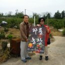 와룡농장 이미지