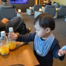 (주)이쩌우국제비지니스 | 제주공항 아시아나 비지니스 라운지 위치 아기랑