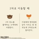 곰과여우