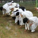 미동농장 이미지