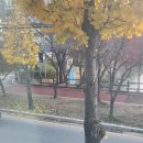 풍경좋은고시텔 - 1432 | 풍경좋은고시텔