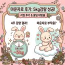 (주)팔달에너지 | [마운자로 후기] 5kg 감량 성공! 부작용 &amp; 수원 성지 찾는 꿀팁