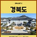 경북도, 재정혁신 통해 4년간 7300억원 지방채무 감축 경북신문 이미지